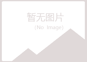 桃山区错过建设有限公司